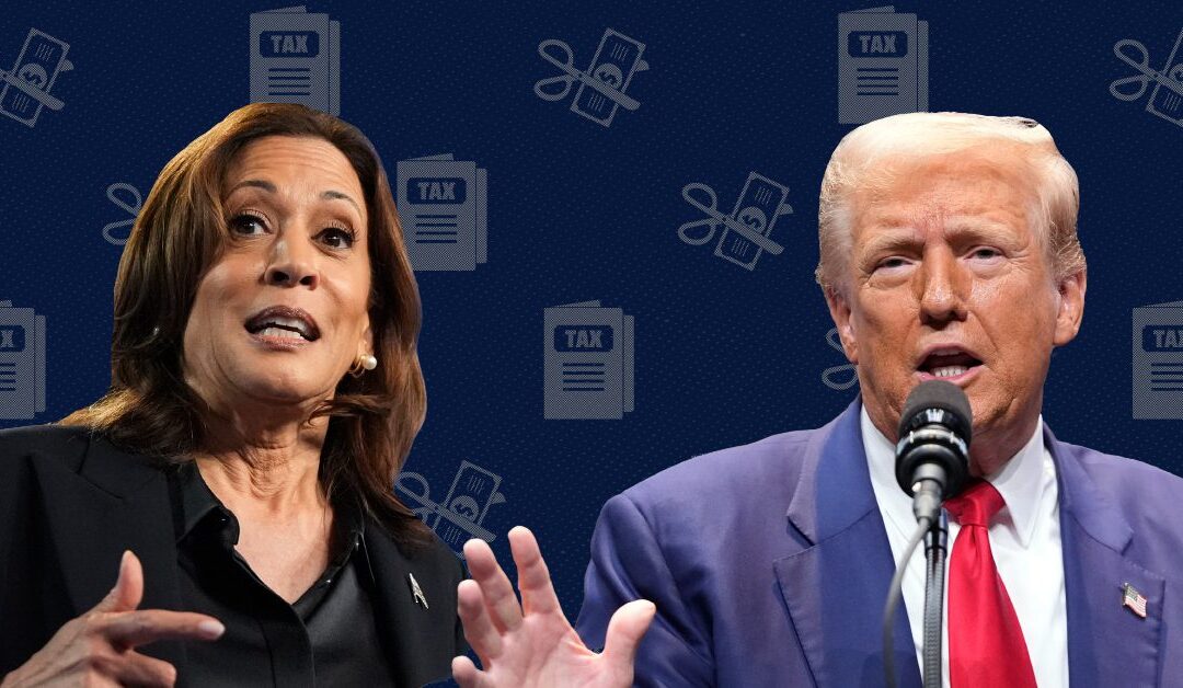 Harris wants to give working families a tax cut and raise taxes on corporations. Trump would do the opposite.