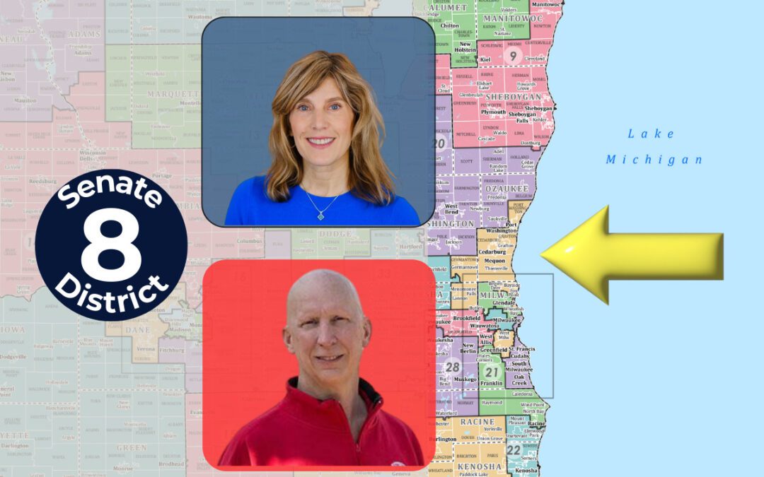 Jodi Habush Sinykin sees potential in a newly-drawn State Senate district where voters are tired of the same old extremism