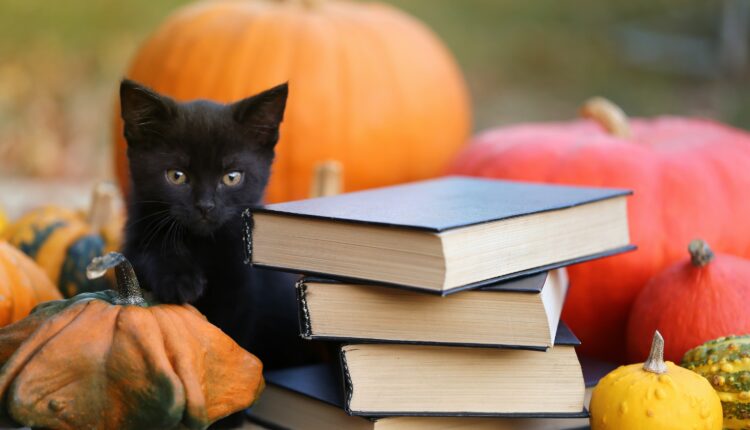 24 must-read mysteries by Wisconsin authors