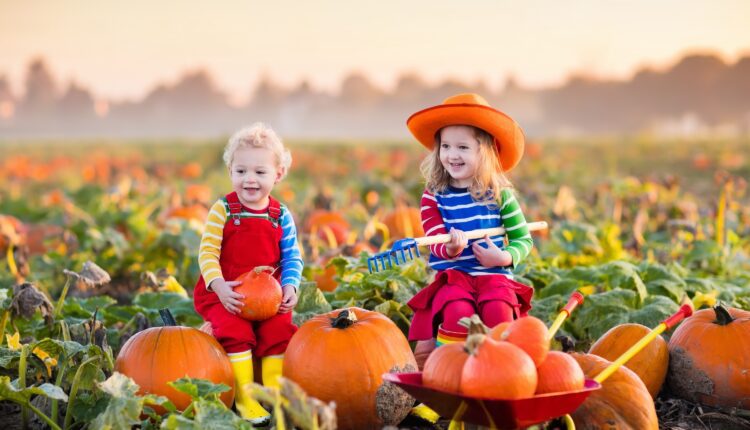 Wander through Wisconsin’s 10 biggest pumpkin patches