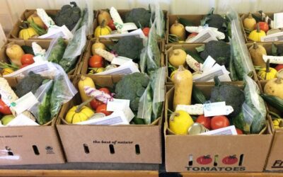 CSA 101: Your guide to securing fresh produce directly from Wisconsin farmers