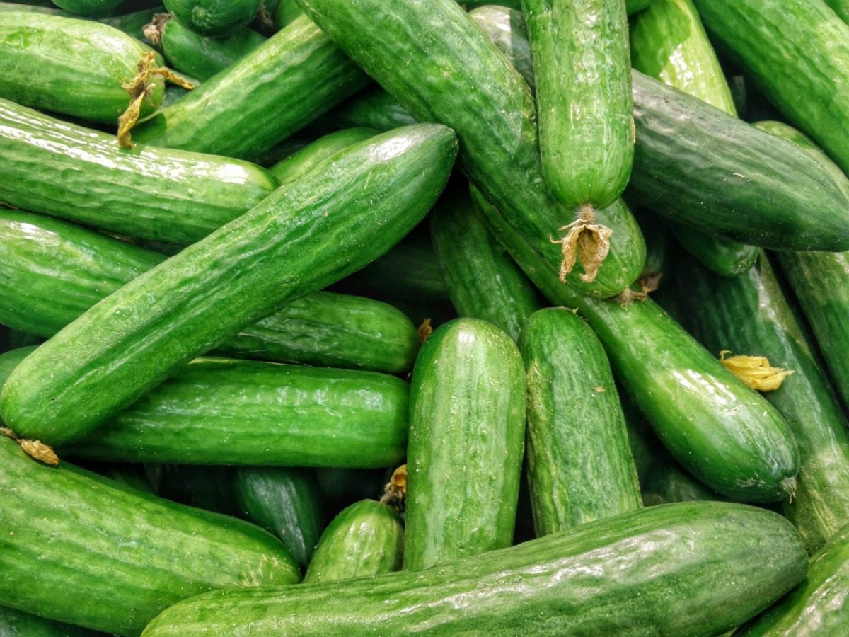 Wisconsin health officials investigate salmonella outbreak linked to cucumbers