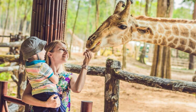 10 things to do in Madison with kids