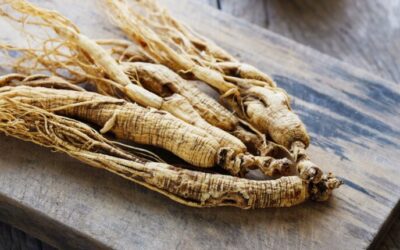 12 things you never knew about Wisconsin’s ginseng trade