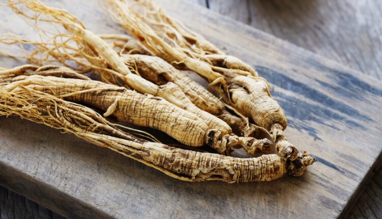 12 things you never knew about Wisconsin’s ginseng trade