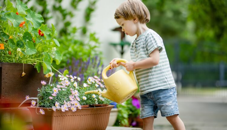 Everything you need to know about container gardening in Wisconsin