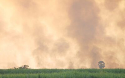 Opinion: Facing the climate crisis