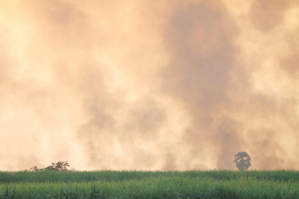 Opinion: Facing the climate crisis