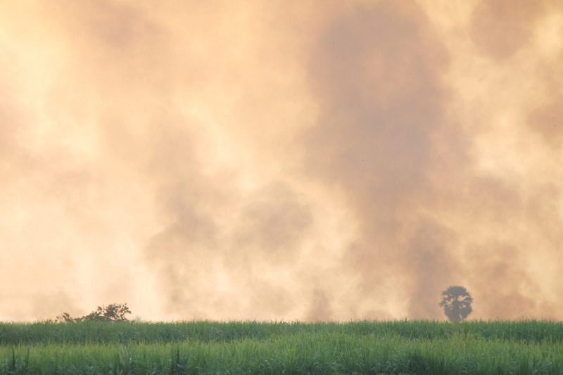 Climate. Sky smog pollution atmosphere, Blurred sky sunlight cloud air pollution
