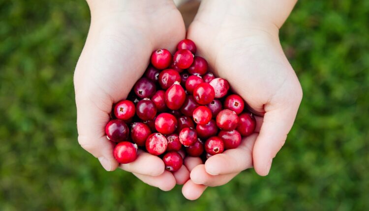 Wisconsin is a top producer of these 9 foods