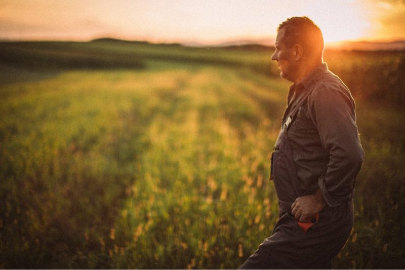 Wisconsin Farmers. Farmer on farm during sunset
