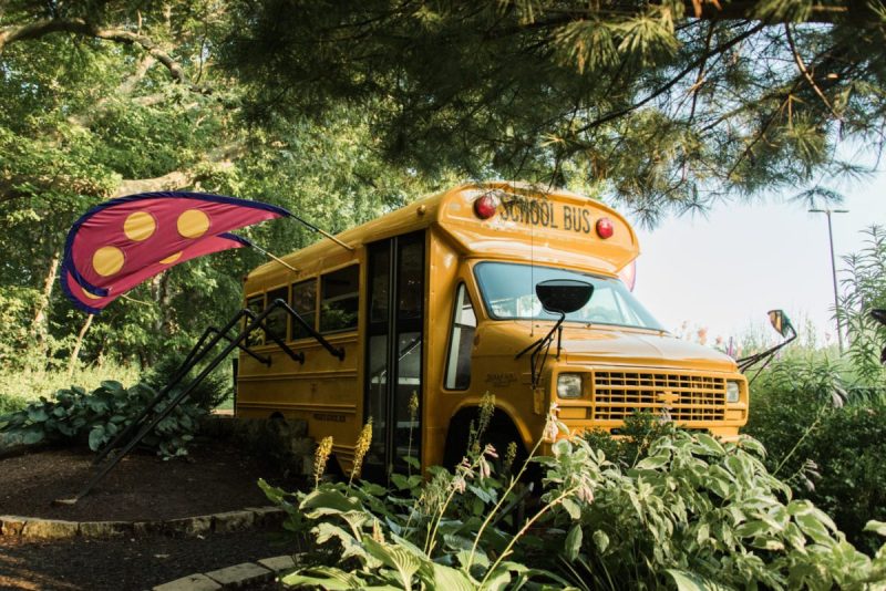 a school bus in a forest