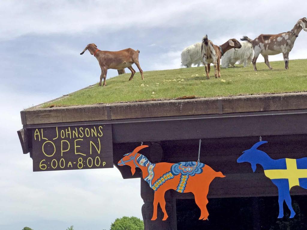 Wisconsin restaurants that went all in on their themes 🐐