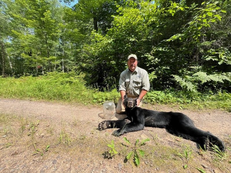 A happy ending for a Wisconsin bear in a bind