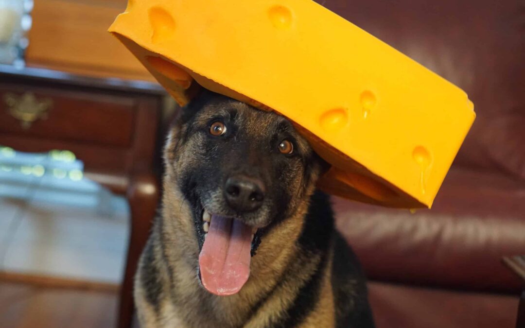 9 Wisconsin stereotypes that are actually pretty accurate