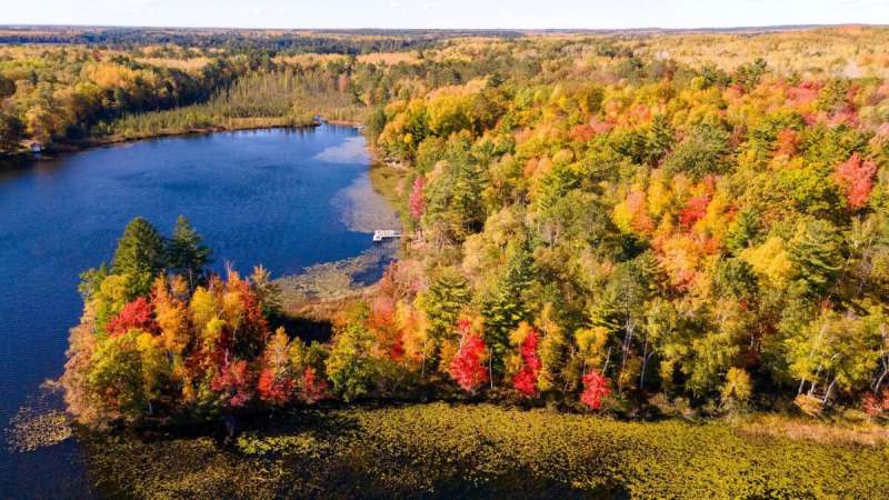 fall colors typically explode during the month of october