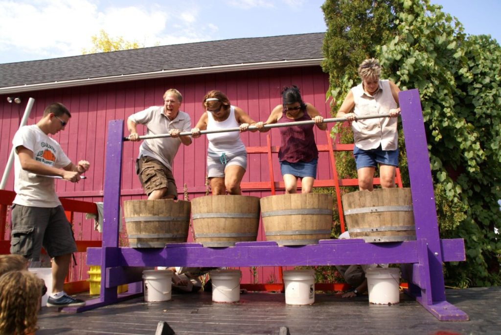 Find all the cozy vibes at fall festivals and events in the Milwaukee area