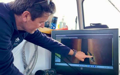 Lake Michigan shipwreck found after 139 years, with citizen scientists joining in moment