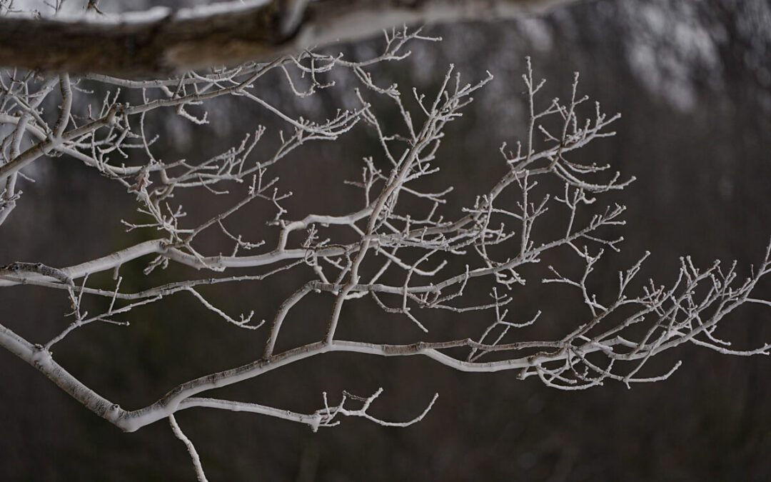 Has cooler fall weather finally arrived in Wisconsin?