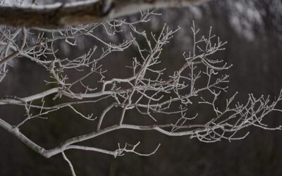 Has cooler fall weather finally arrived in Wisconsin?