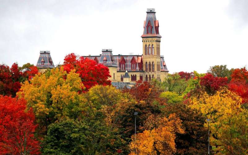 Wisconsin peak fall colors.
