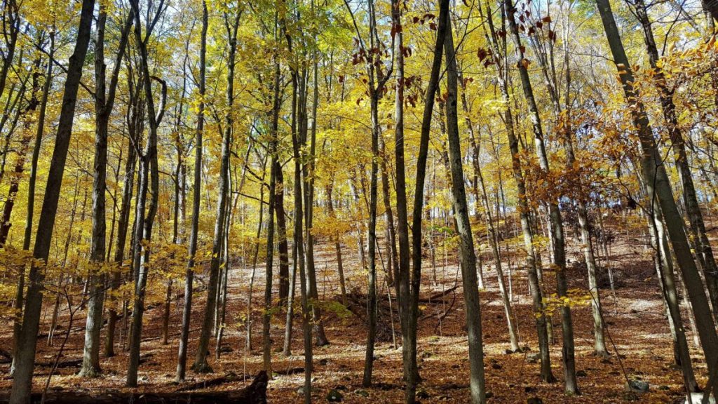 This challenge encourages Wisconsin hikers to hit the Ice Age Trail in October