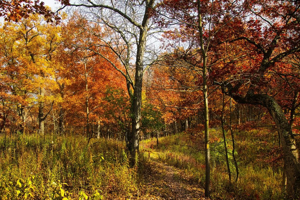 UpNorthNews’ ultimate 2025 Wisconsin fall guide