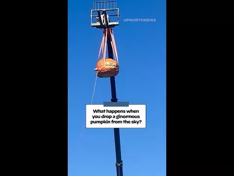 LOCAL VIDEO - Up North News