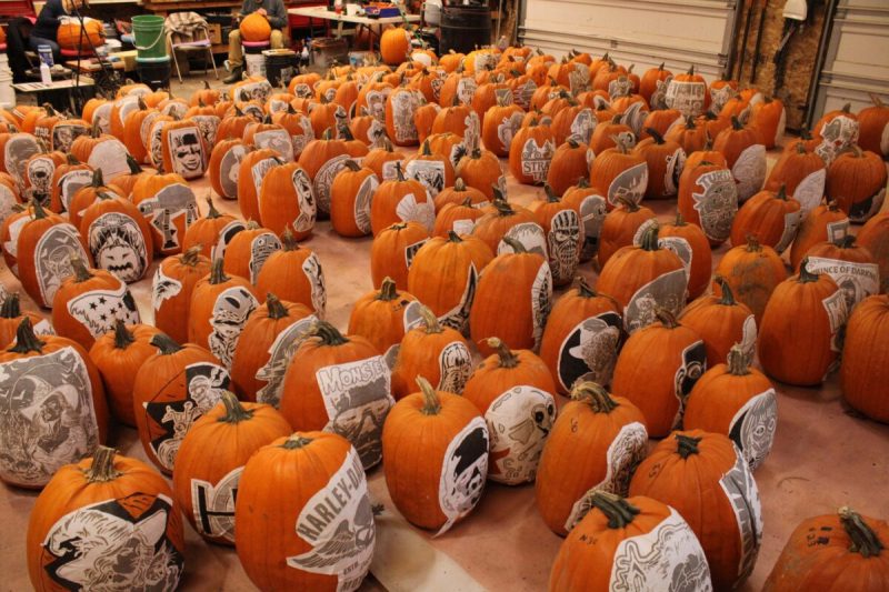 Waupaca pumpkin carvings.