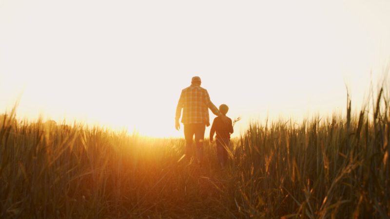 Farmer and his son in front of a sunset agricultural landscape. Man and a boy in a countryside field. The concept of fatherhood, country life, farming and country lifestyle.