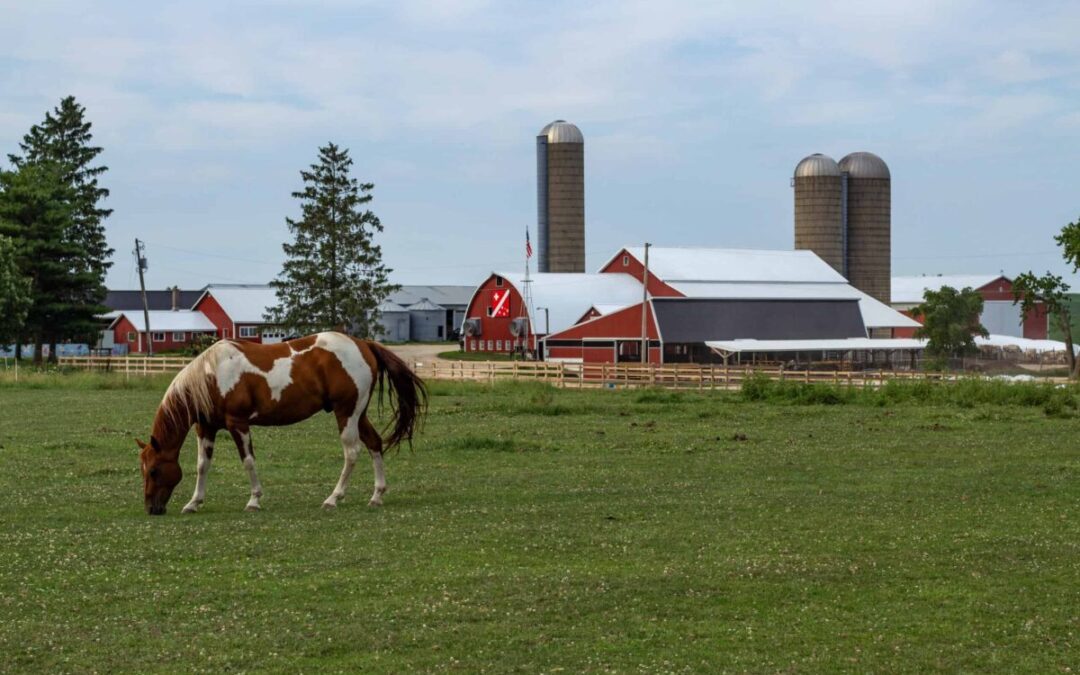 9 Farms in Wisconsin where you can spend the night and experience agritourism