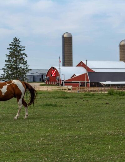 Learn about Wisconsin’s farming culture when you stay overnight on a farm.