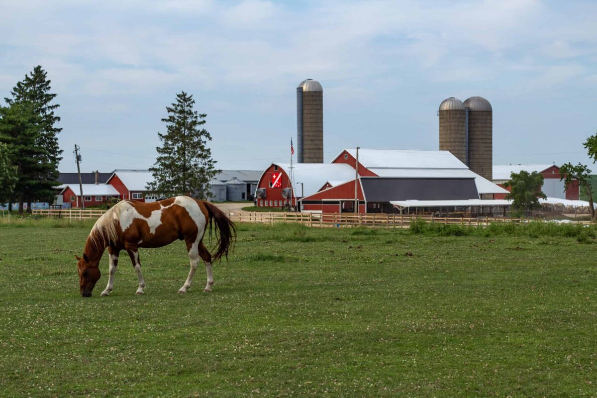 9 Farms in Wisconsin where you can spend the night and experience agritourism 9 Farms in Wisconsin where you can spend the night and experience agritourism