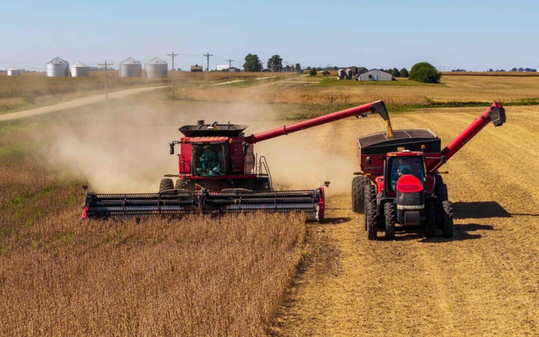 China is boycotting American soybeans. Wisconsin farmers will pay the price for it, trade group says
