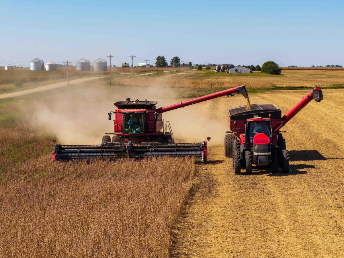 China is boycotting American soybeans. Wisconsin farmers will pay the price for it, trade group says
