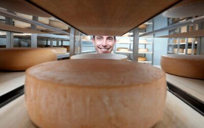 What makes Wisconsin ‘America’s Dairyland?’ These quirky laws and regulations could hold the answer