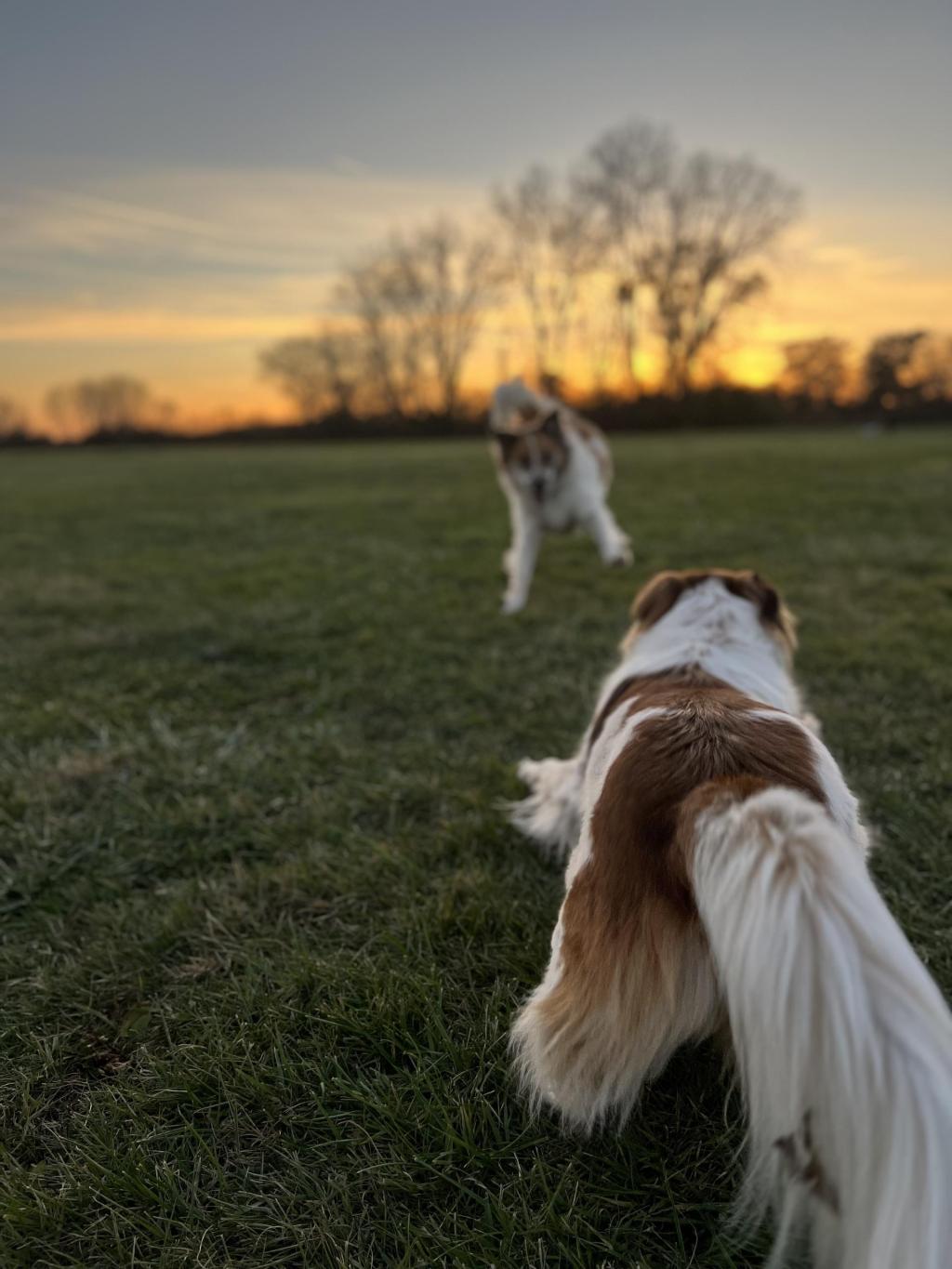 We asked, you answered: Where to get the best fish fry in WI