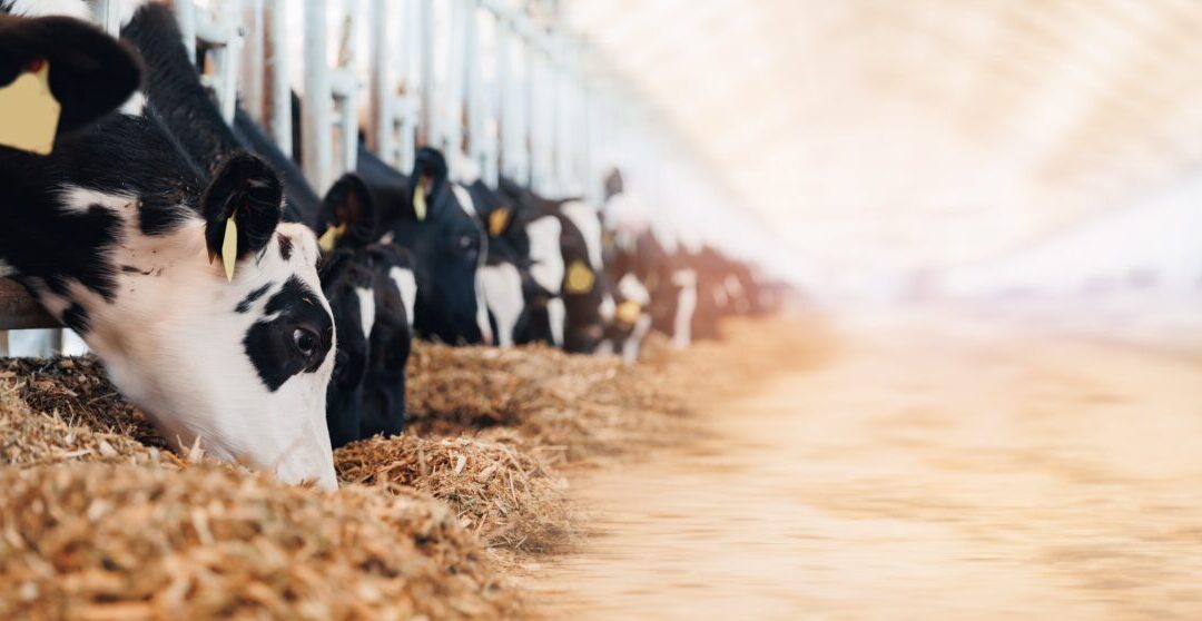 WI’s Door County residents call in-person CAFO hearing a ‘win’