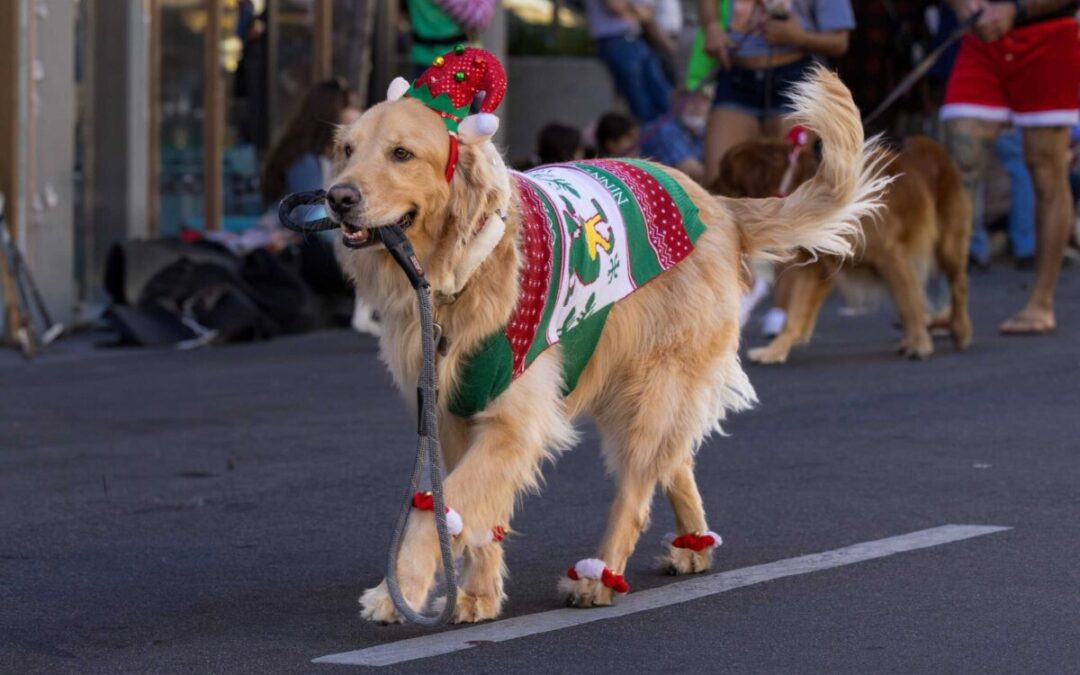 12 Wisconsin parades that will get you into the holiday spirit