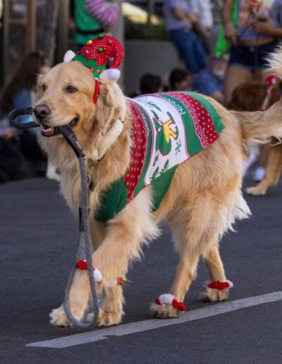 It’s beginning to look a lot like Christmas in Wisconsin.