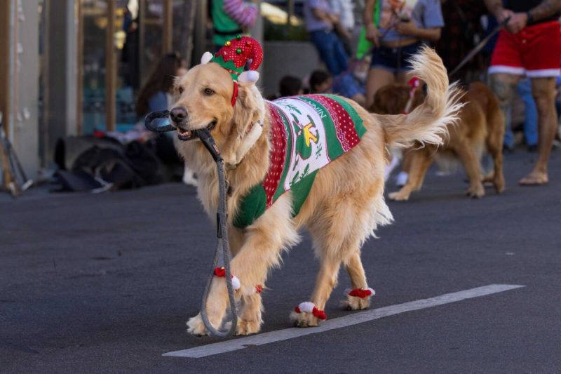 It’s beginning to look a lot like Christmas in Wisconsin.