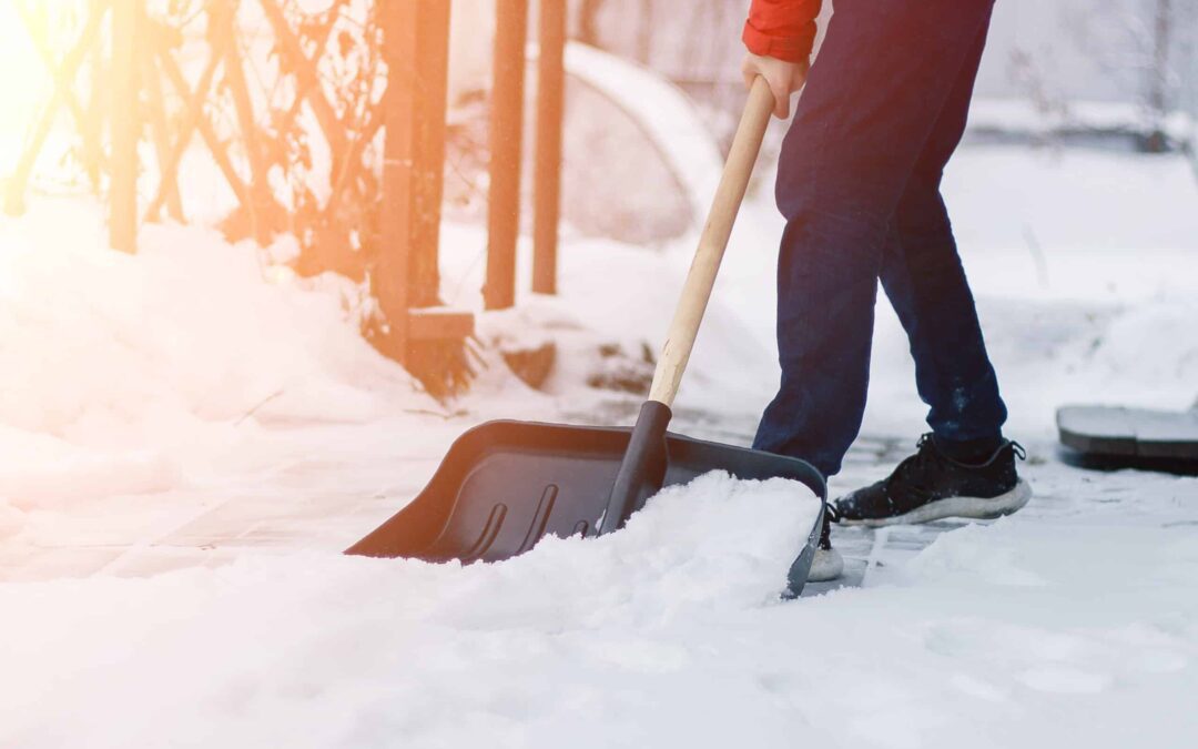 11 Wisconsin organizations that need your help this winter