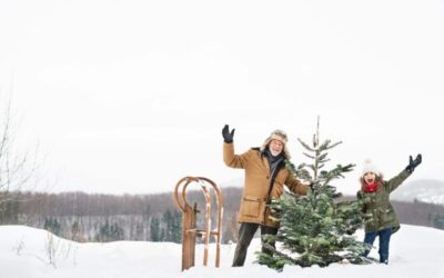 10 of the best cut-your-own Christmas tree farms in Wisconsin