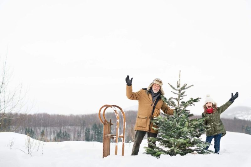 Come Christmastime, dashing over to a cut-your-own tree farm is a beloved Wisconsin tradition.