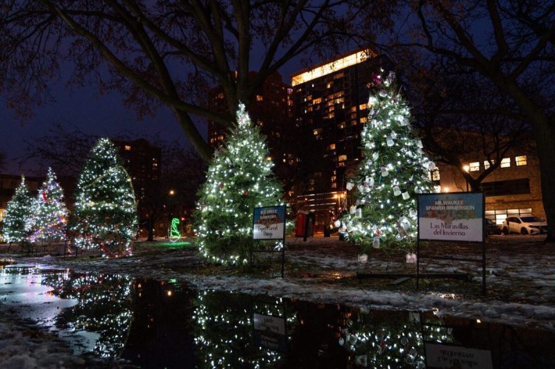 Christmas trees in Wisconsin weather.