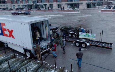 Wisconsin growers donate over 700 Christmas trees through Trees for Troops