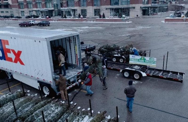 Trees for Troops collection.