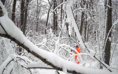 What’s Happening in Wisconsin: Your View and the Badger State Buzz (Dec. 22–29)