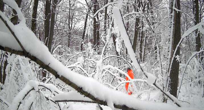 What’s Happening in Wisconsin: Your View and the Badger State Buzz (Dec. 22–29)