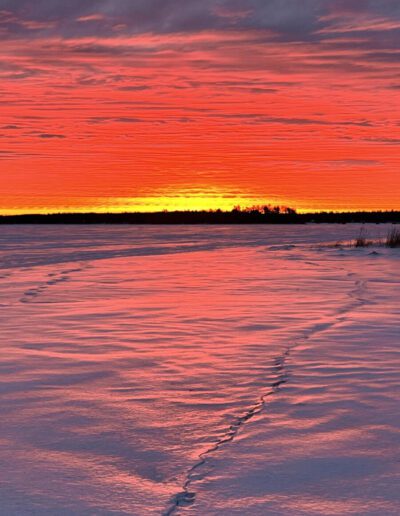 What’s Happening in Wisconsin: Your View and the Badger State Buzz (Jan. 19–25)